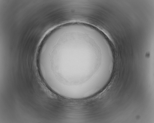 X0000116790832201001291517