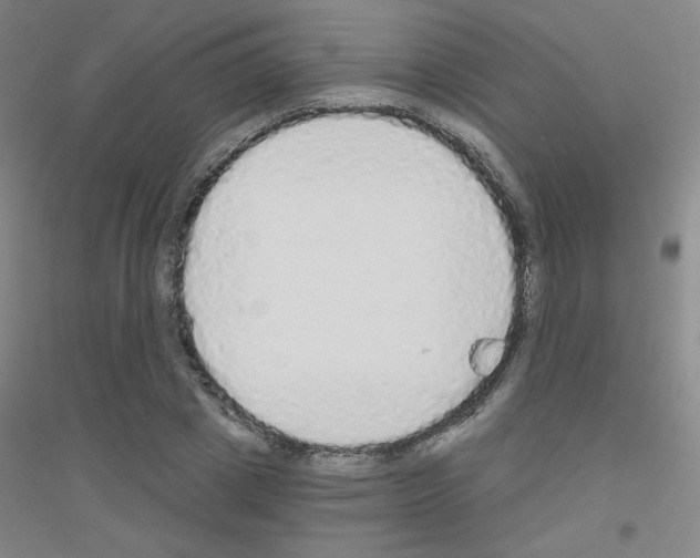 X0000116790833201001291517