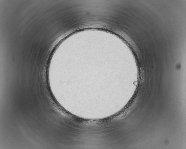 X0000116790834201001291517