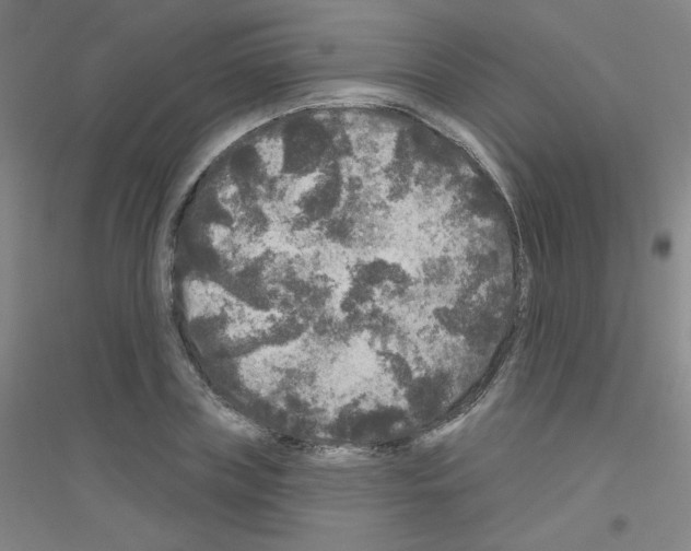 X0000116790835201001291517