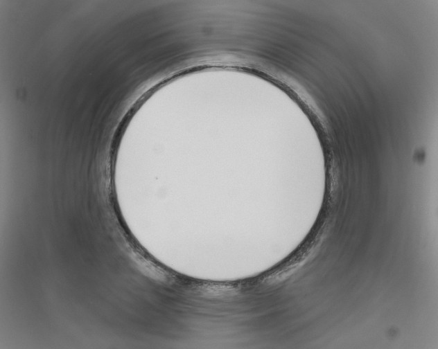 X0000116790837201001291517