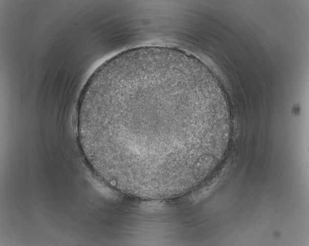X0000116790838201001291517