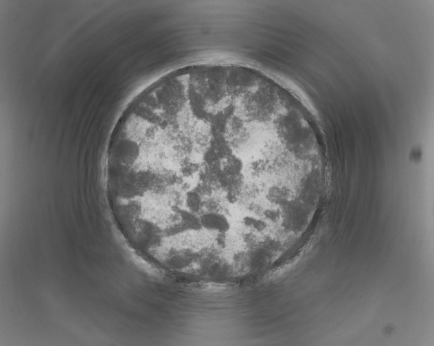 X0000116790839201001291517