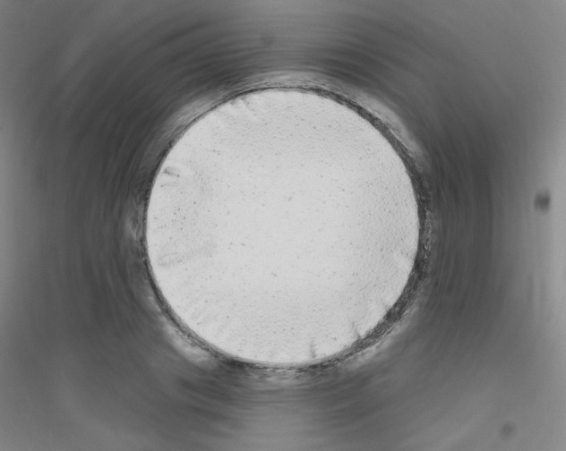 X0000116790841201001291517