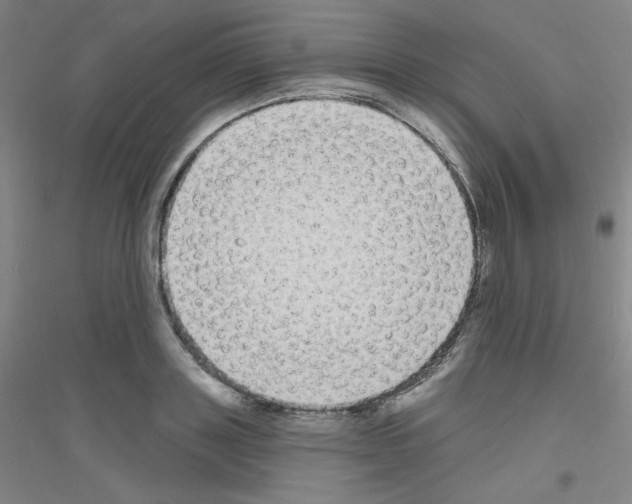 X0000116790843201001291517