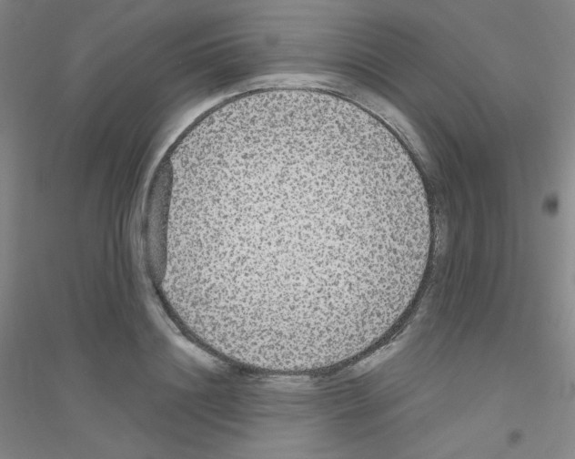 X0000116790844201001291517