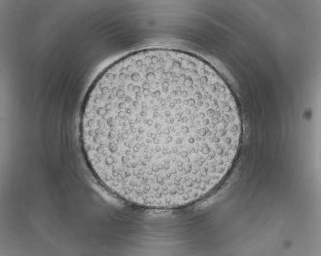 X0000116790846201001291517