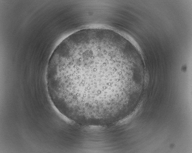 X0000116790847201001291517