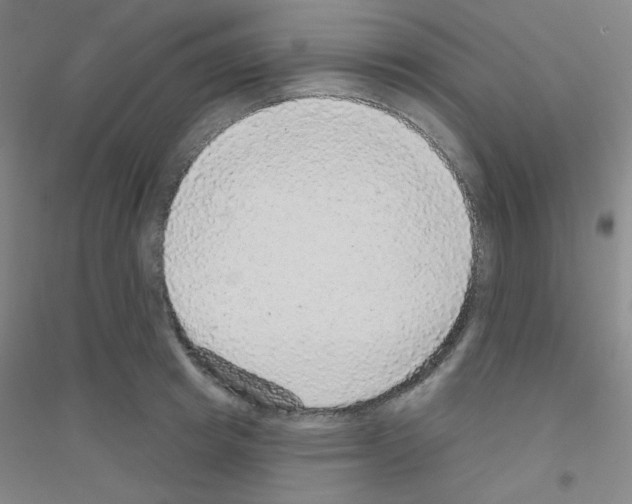 X0000116790849201001291517