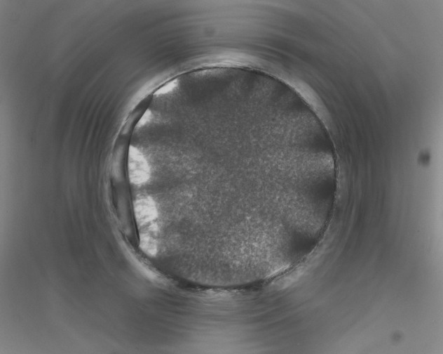 X0000116790850201001291517
