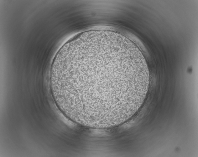 X0000116790852201001291517