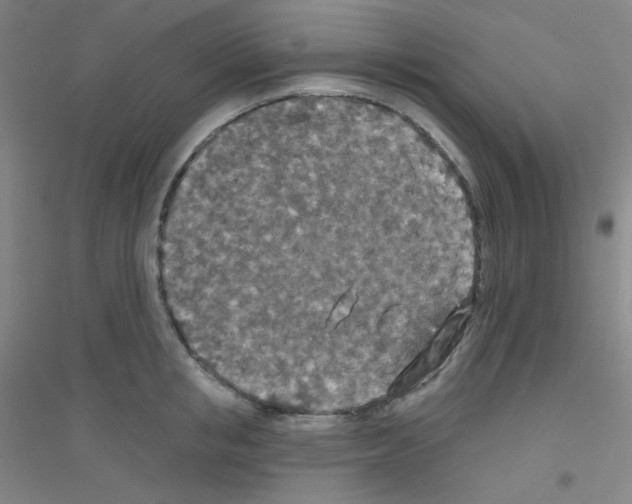 X0000116790853201001291517