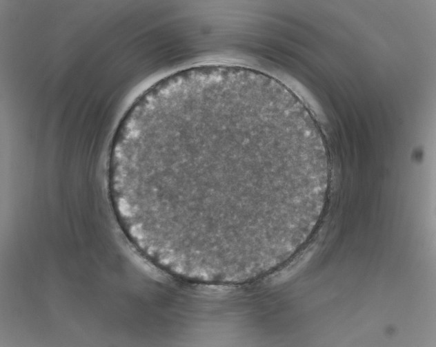 X0000116790854201001291517