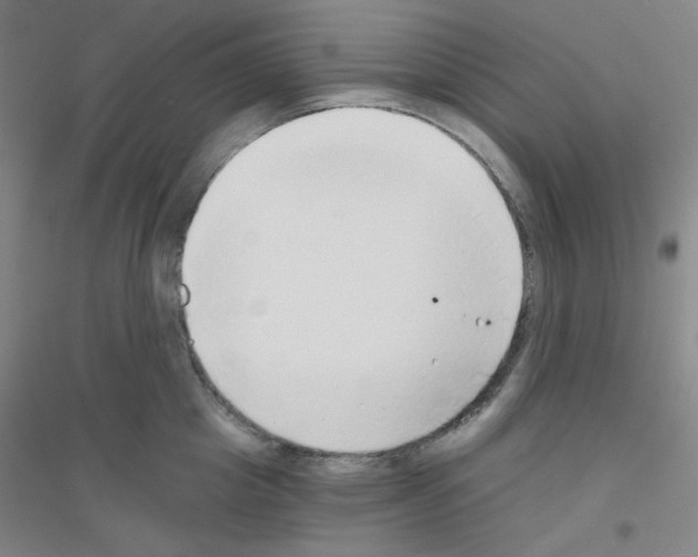X0000116790857201001291517