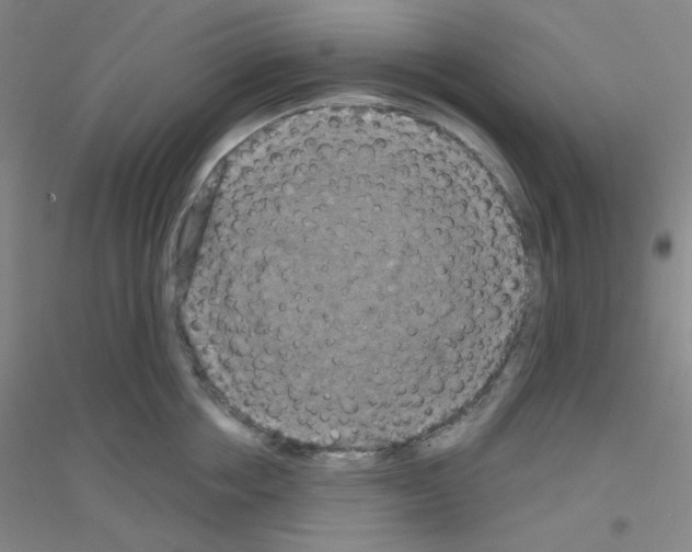 X0000116790858201001291517