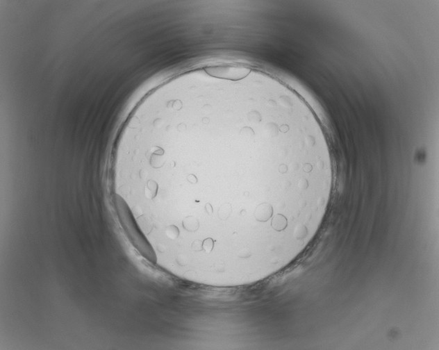 X0000116790861201001291517