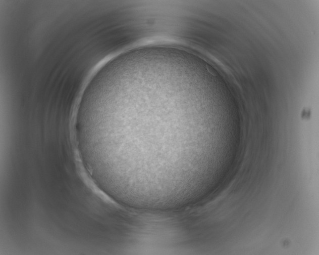 X0000116790864201001291517
