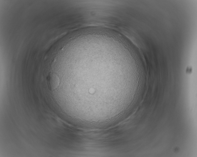X0000116790865201001291517
