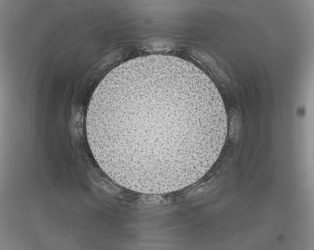 X0000116790866201001291517
