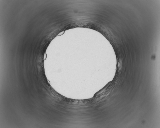 X0000116790867201001291517
