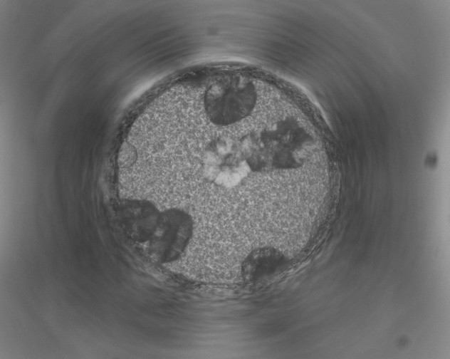 X0000116790871201001291516