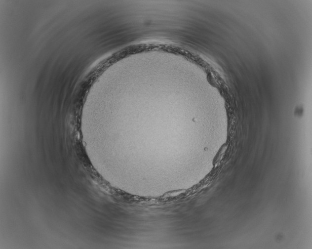 X0000116790872201001291516