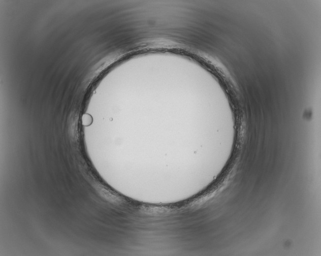 X0000116790873201001291516