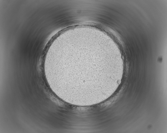 X0000116790875201001291516