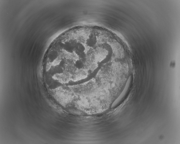 X0000116790879201001291516