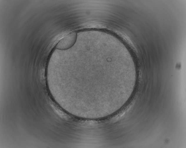 X0000116790881201001291516