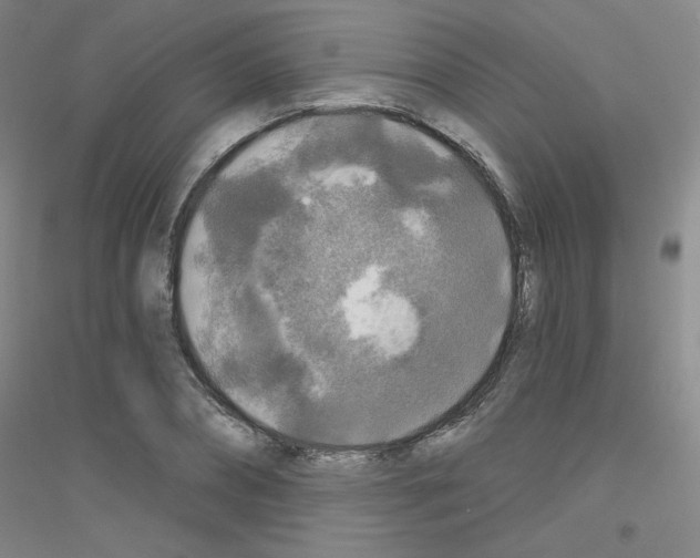 X0000116790882201001291516