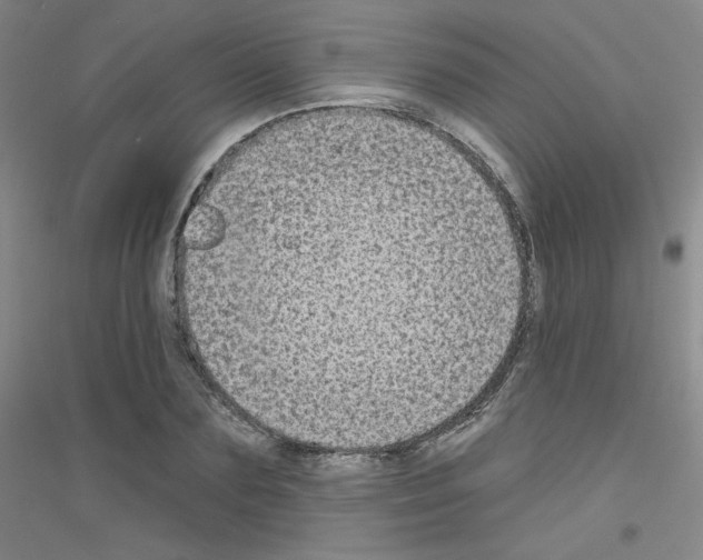 X0000116790883201001291516