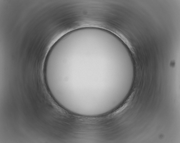 X0000116790885201001291516