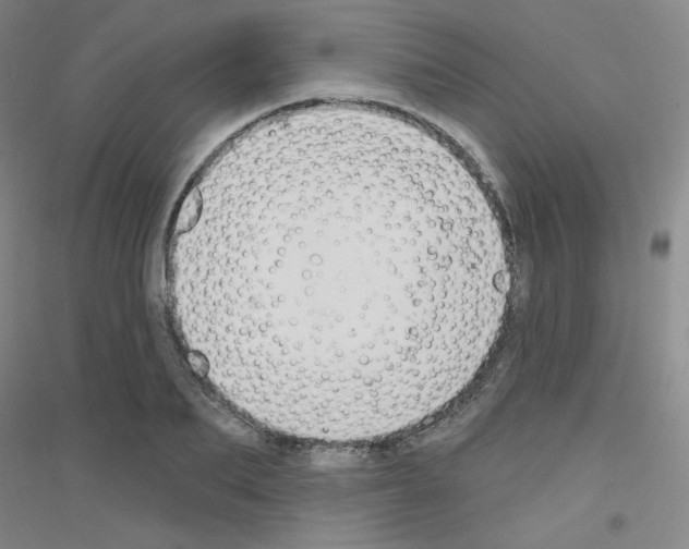 X0000116790887201001291516