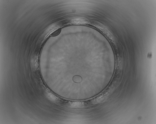 X0000116790889201001291516