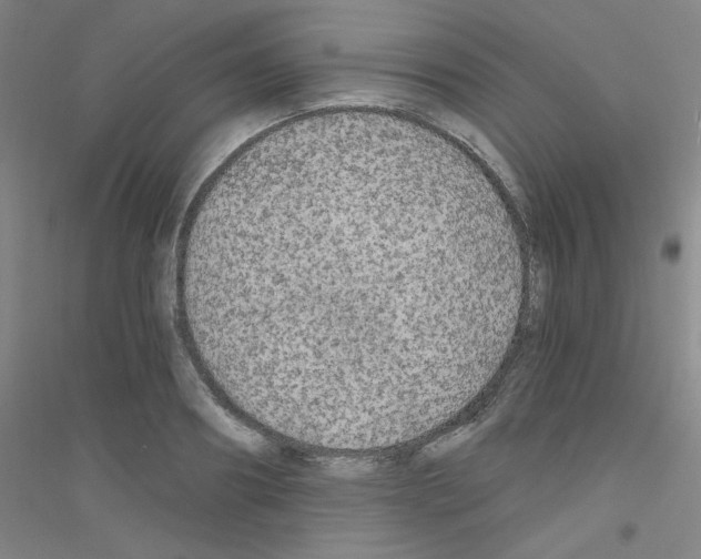 X0000116790890201001291516