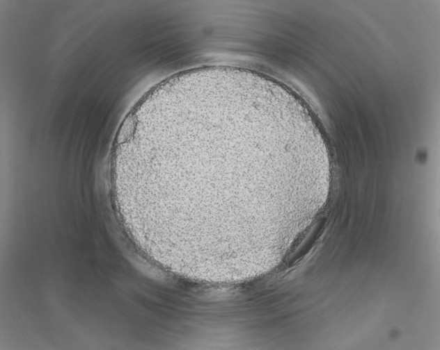 X0000116790891201001291516