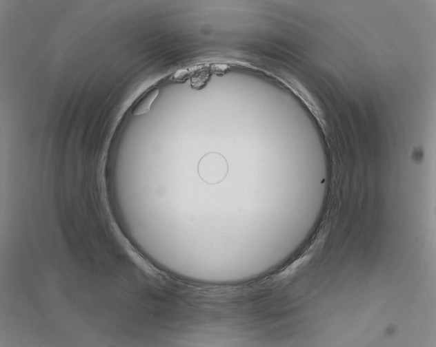 X0000116790893201001291516