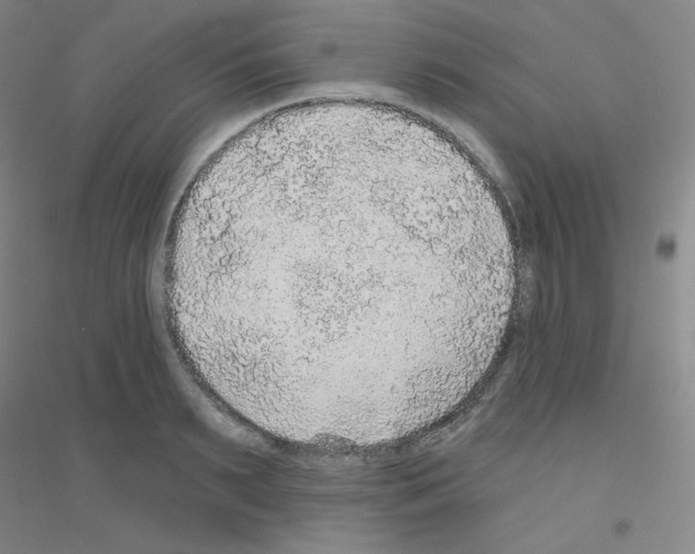 X0000116790895201001291516