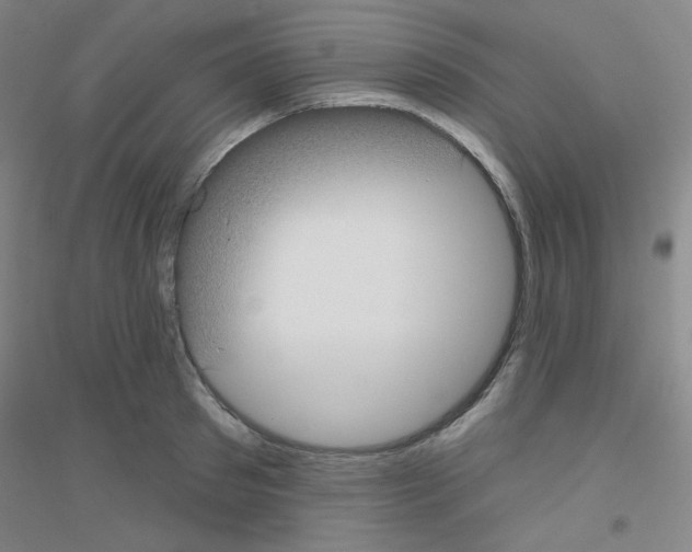 X0000116790897201001291516