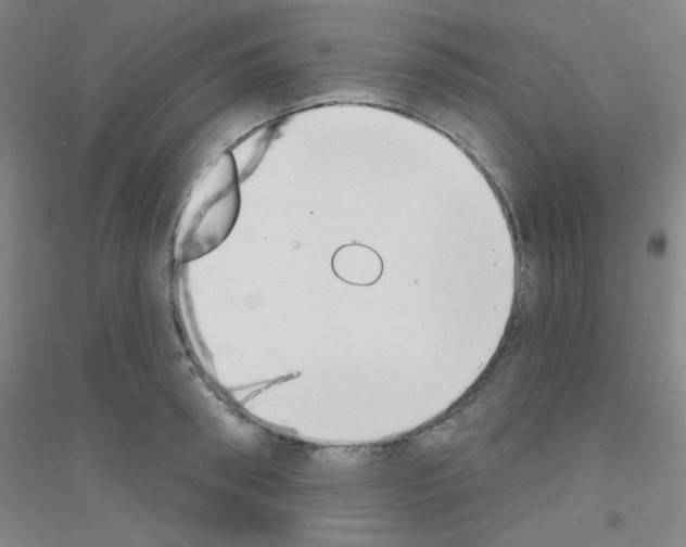 X0000116790898201001291516