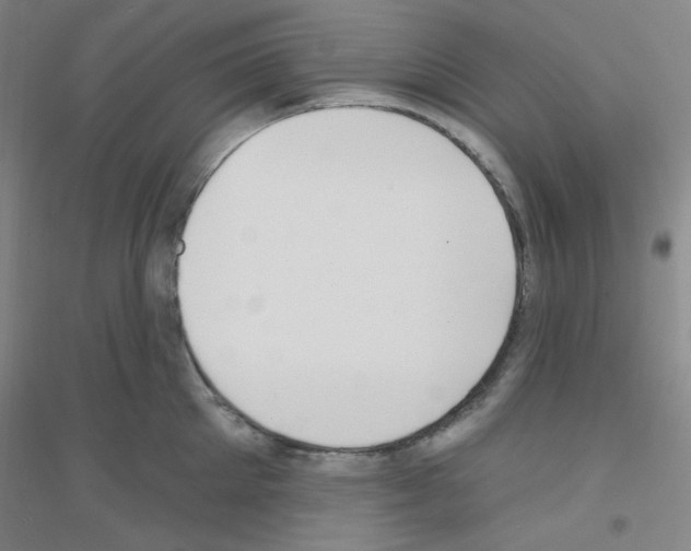 X0000116790905201001291516