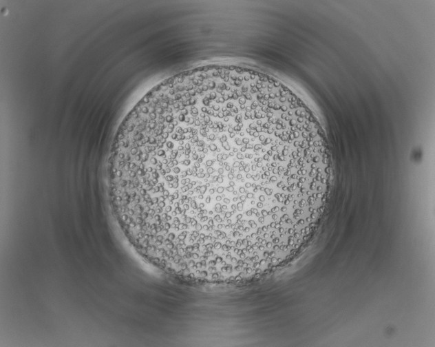 X0000116790906201001291516