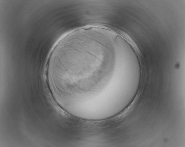 X0000116790908201001291516