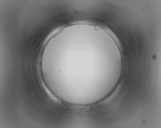 X0000116790909201001291516
