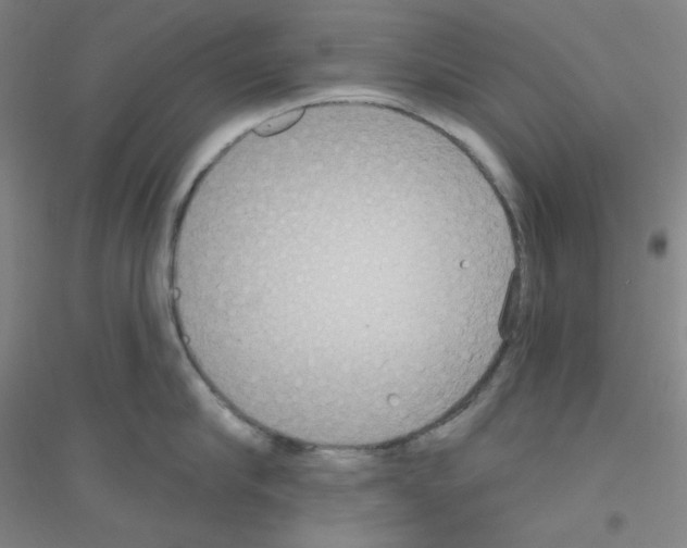 X0000116790910201001291516