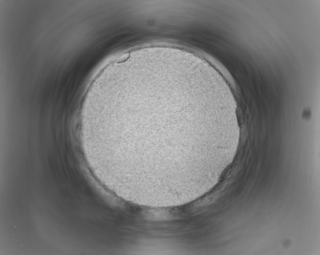 X0000116790911201001291516