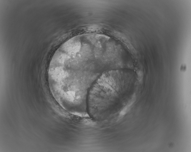 X0000116790913201001291515