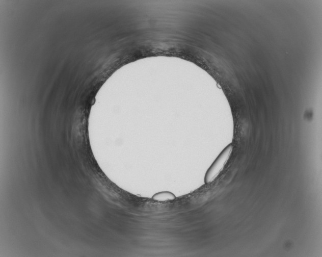 X0000116790914201001291515