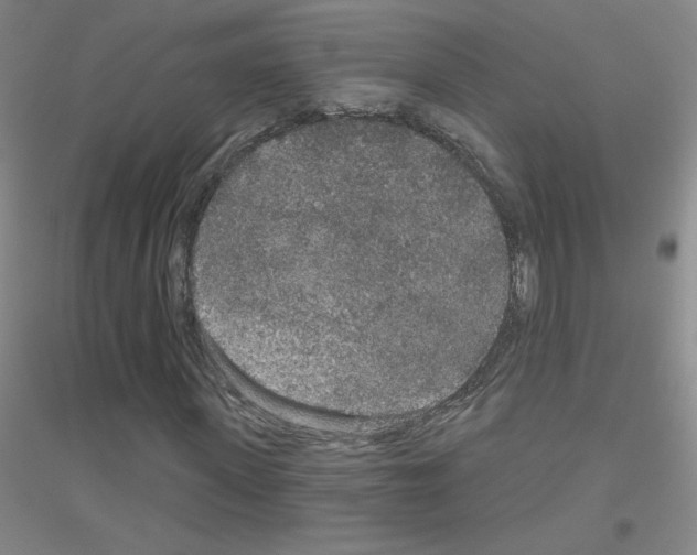 X0000116790915201001291515